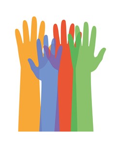 Work Experience and Volunteering